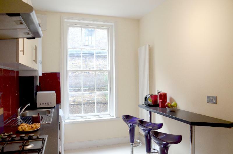 Oyo Home 146 Balfe Street King'S X London Eksteriør billede